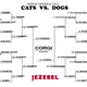 Illustration for article titled Cats vs. Dogs: We Have A Winner!